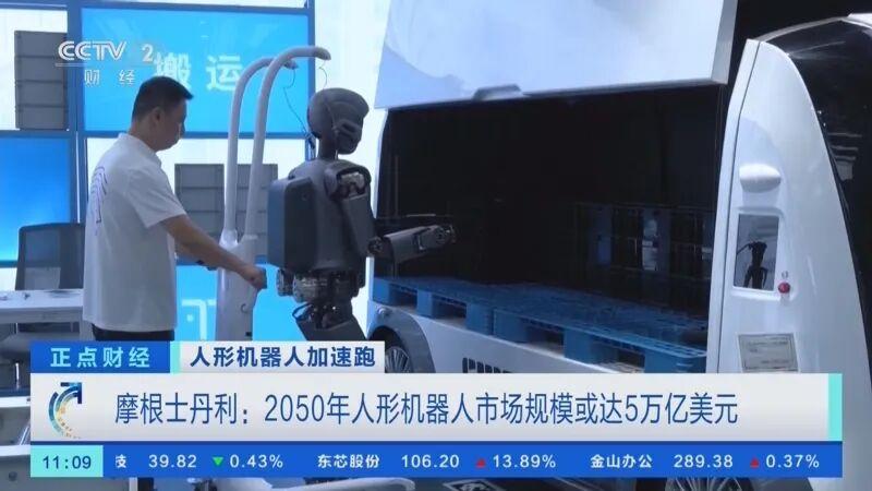 摩根人形机器人25强，中国占7家