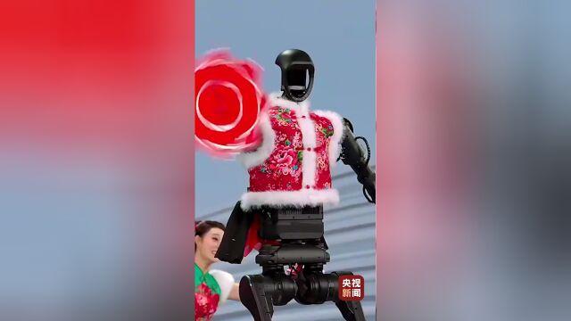 过去一年人形机器人掌握了哪些技能，助力普通人应对复杂任务