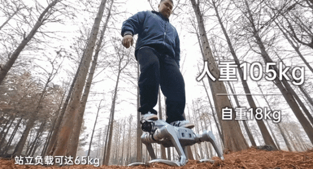 宇树科技，发布新款四足机器人