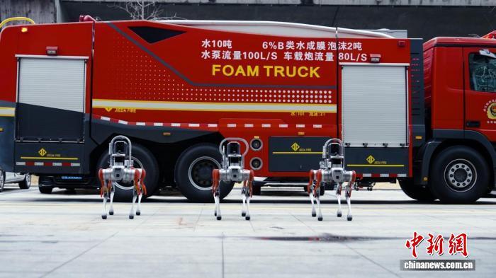 杭州消防侦察机器狗亮相 “钢铁之躯”勇闯险境