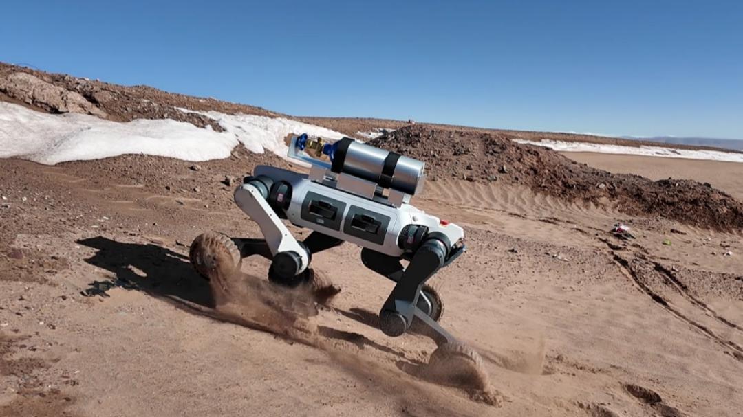 热门轮足机器人大比拼:谁才是绝对领先的标杆级产品?