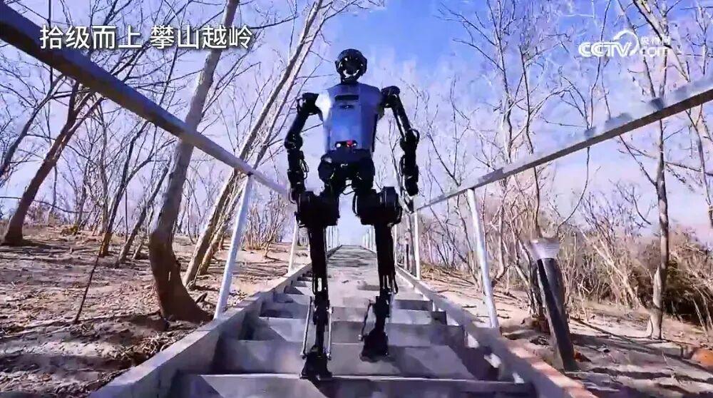 为什么科学家非要搞“人形机器人”?